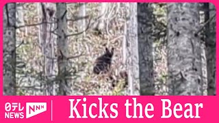 Tourist kicks bear in face to chase it away in northern Japan mountains by Nippon TV News 24 Japan 467 views 13 days ago 1 minute, 21 seconds