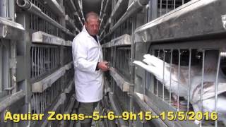 ACD Porto Aguiar ll Zonas-5-6-9h15--15/5/2016-PORTUGAL