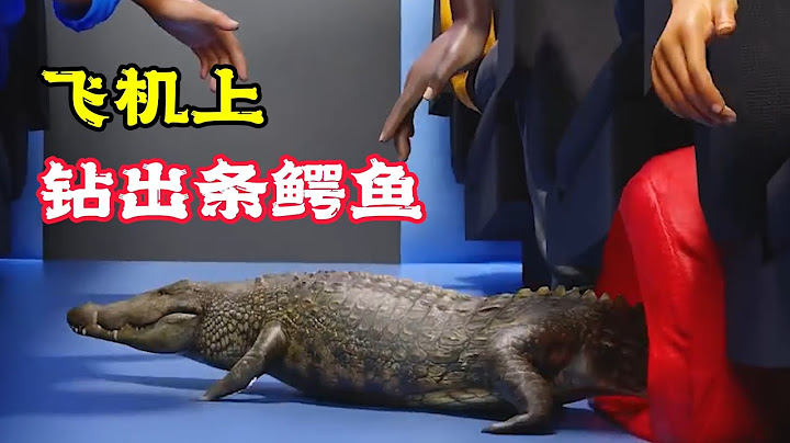 飛機上的行李，居然鑽出一條鱷魚，這可怎麼是好？科普動畫《鱷魚鑽進飛機》。電影，短片，成精，解說，搞笑，動畫，動作，喜劇，獵奇，奇幻，腦洞，科幻，超能力，short film