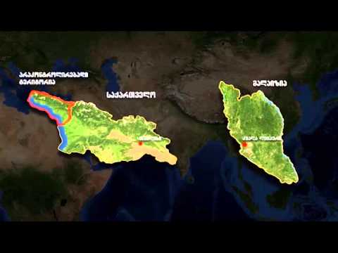 ტერორიზმის შესახებ მუქარის ეწ ჯიჰადის ვიდეოს საქმე გახსნილია