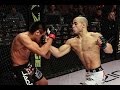 Marlon moraes  wsof champion  mma highlights hello japan