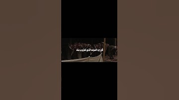اكتب شي تؤجر عليه _ القارئ ماهر المعيقلي