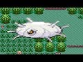 HOW TO FIND SILCOON IN POKEMON RUBY AND SAPPHIRE