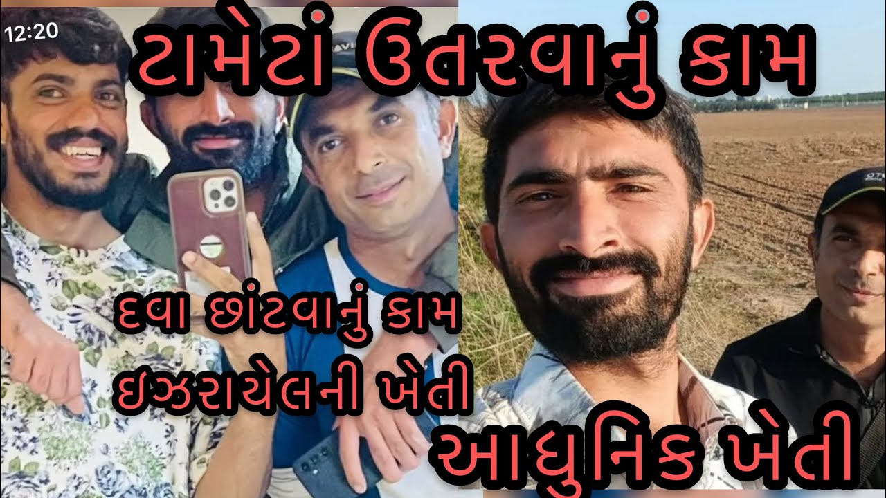 ઇઝરાયેલની આધુનિક ખેતી/દવા છાંટવાનું કામ/ટામેટાં ઉતારવાનું કામ/ ટ્રેક્ટર હાકવાનું કામ Agriculture🇮🇱