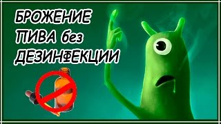 Брожение пива без дезинфекции(В этом видео я провожу эксперимент: 