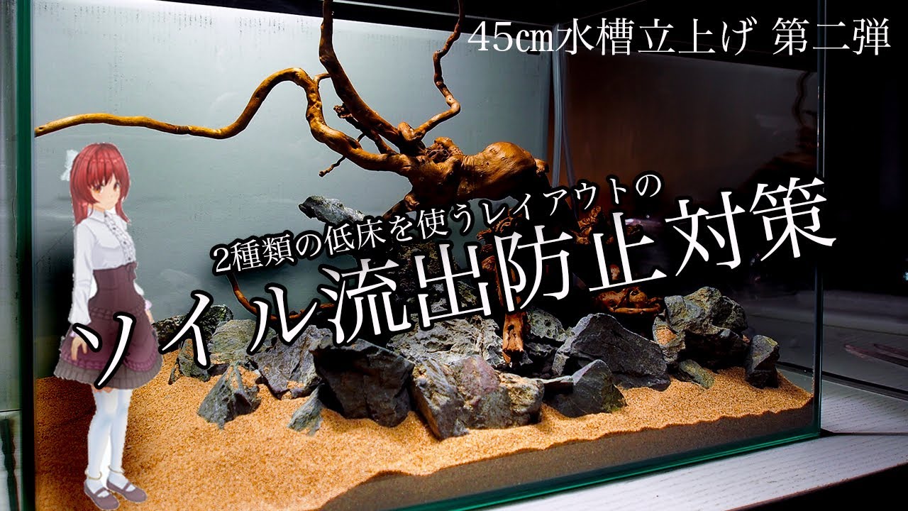 【アクアリウム 】ソイル流出対策を行なった 45㎝ 水槽立上げ 第2弾 ともり子との小ネタ