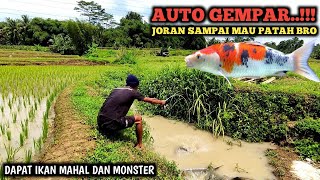 MANTAP.! MANCING KOI DI SELOKAN TENGAH SAWAH MALAH STRIKE IKAN BESAR SEGEDE INI || REJEKI NOMPLOK