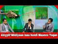 Abiyyiin Dabalatee Miidiyaaleen Isaa Seeraan Gaafatamoodha