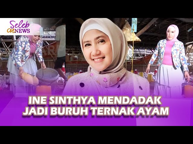 Mendadak Jadi Buruh Ternak Ayam, Ine Sinthya Malah Jadi Nostalgia Bareng Warga - Seleb On News class=