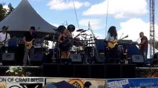 Rick Lewis Project "Give Him Back" Winter Park Music Festival 8/15/2015