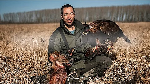 Jackal hunting with Golden Eagle |  a    | 4 |