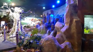 Empty Seaport - Koi Fish - Vinpearl Phú Quốc screenshot 3