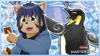 【遊戯王】デュエリストカップにかちこみだぁ！【猫酪真珠】