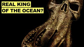 Why Ancient Squid Became Krakens In Dark Seas