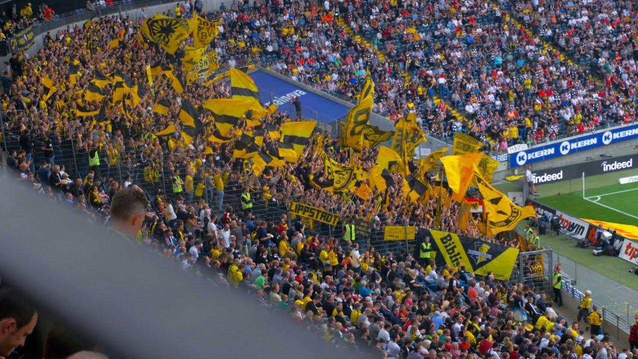 DIE BESTEN BUNDESLIGA FANS! YouTube