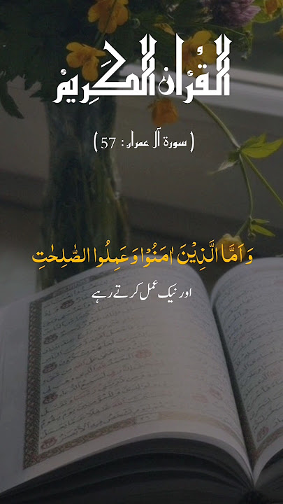 Surah Al-imran 3 | Ayah 56-60 Translation in Urdu