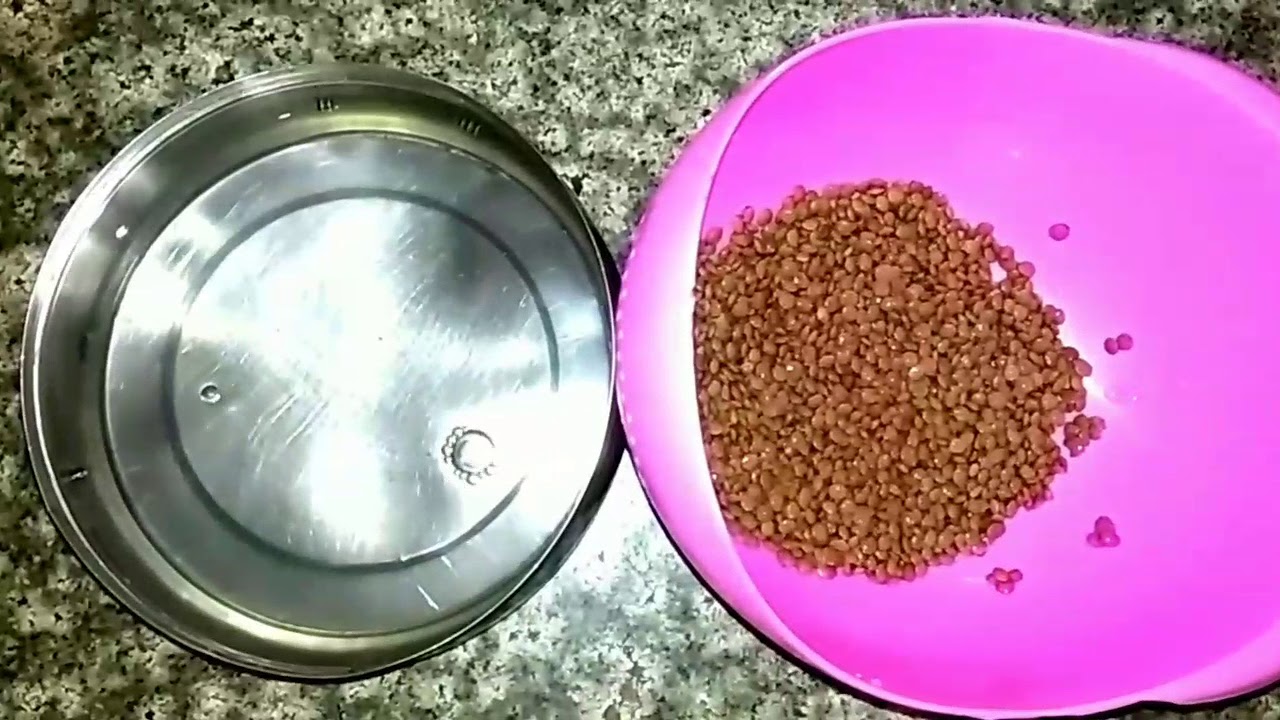 Dal Without Pressure Cooker How To Make Whole Masoor Dal Easy Dal Dal Without Pressure Cooker How To Make Whole Masoor Dal Easy Dal