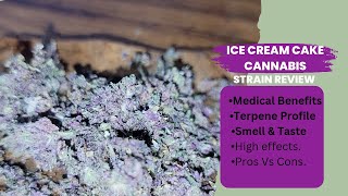 Ice Cream Cake Cannabis Strain Review (Medical Benefits + More)