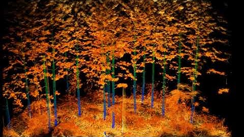 Innovation in Forest Inventory using Ultra-dense LiDAR