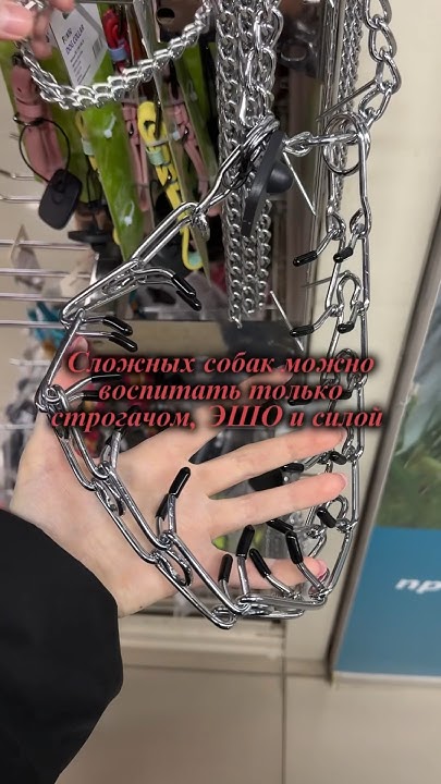 Сила, подавление, страх, наказания, крики и негуманная амуниция делает ...