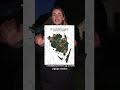 Snart har hjemmeværnet militærøvelser på Fyn