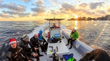 Scuba Diving - AMP Portofino (Merry Christmas Edition) 