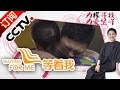 《等着我》 20160920 母亲24年的漫漫寻子路 重组家庭找回破碎的亲情  | CCTV