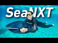New SeaNXT Elite Underwater Scooter Takes Aquatic Adventures to Next Level