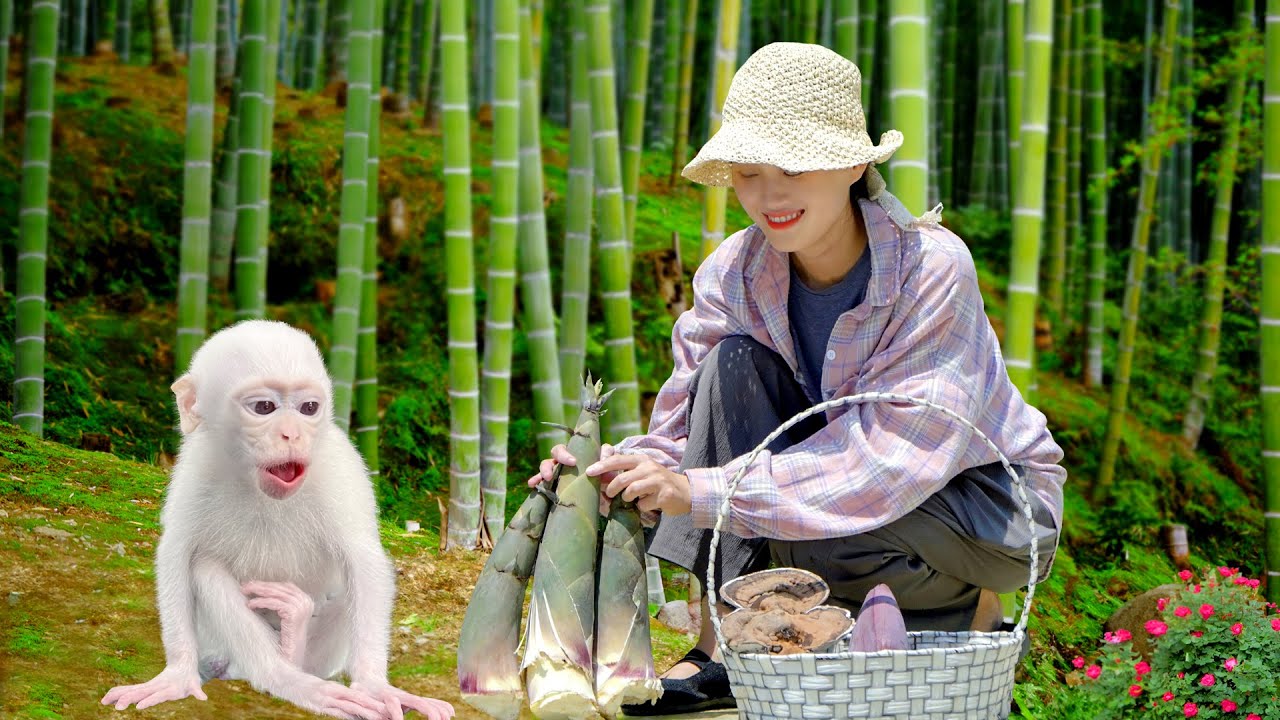 Руби и мама собирают банановые цветы, грибы, джекфрут и побеги бамбука