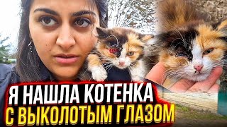 Котенку ВЫКОЛОЛИ глаз и выкинули на холод на улицу.