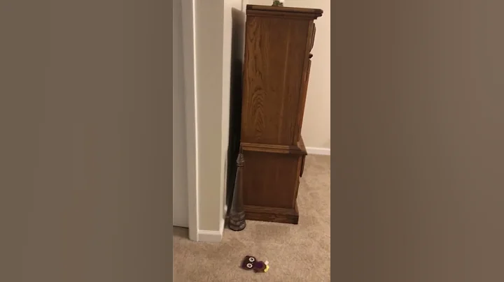 Scare cam