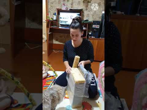 Кігтеточка для котів Стовпчик з диванчиком (сіро-бежева) 30/33/50см