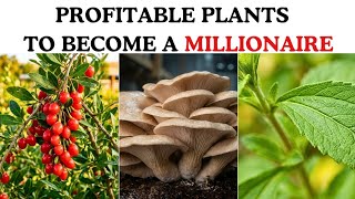 13 Profitable Plants That Will Make You A Millionaire (That Nobody's Growing)