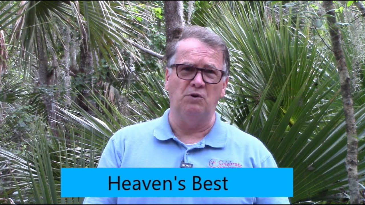 Heaven's Best Week 1 YouTube