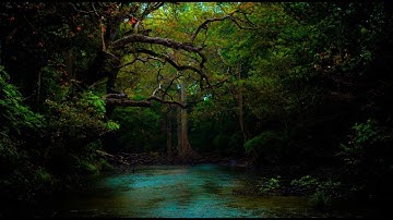 تلاوة من سورة محمد |  للقارئ غسان الشوربجي