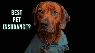 The Best Pet Insurance for Rhodesian Ridgebacks?