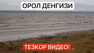 ТЕЗКОР ВИДЕО ‼️ ОРОЛГА ЖОН КИРМОКДА!