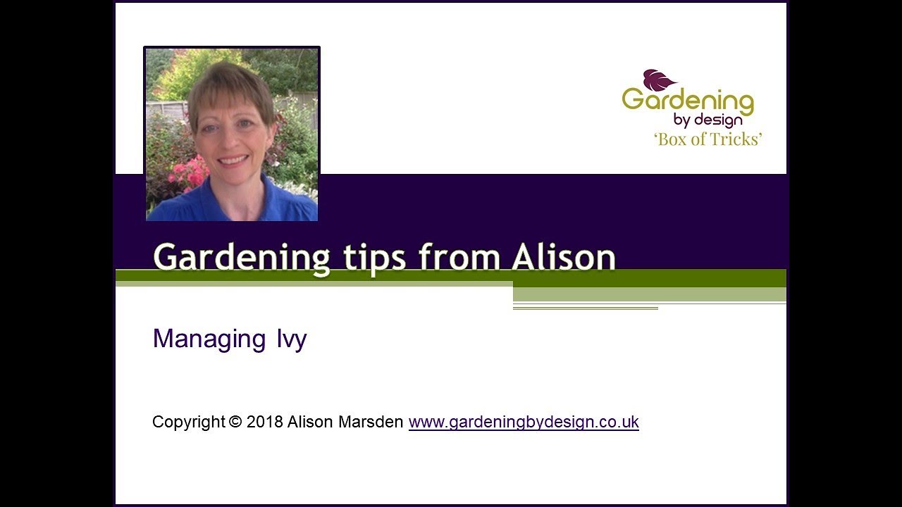 Managing Ivy