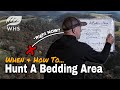 When To Hunt A Buck Bedding Area | How To