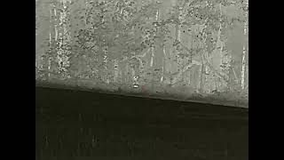 YOTE 1022A23