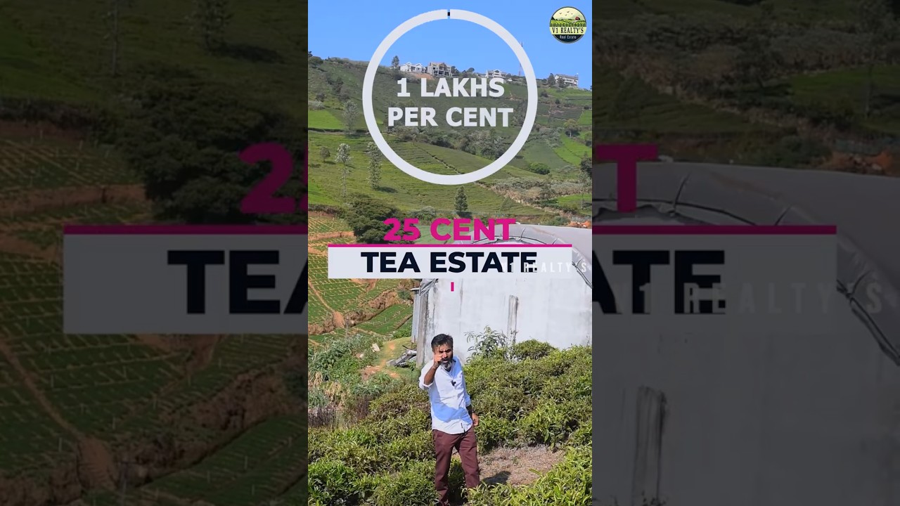 Own a Serene Tea Estate in Ooty | 1 lakh per cent | V1 Realtys