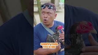 Semaput tenan Titis ki nko #lucu #jawakomedi #komedi #komedijawa #dagelanjowo #comedy