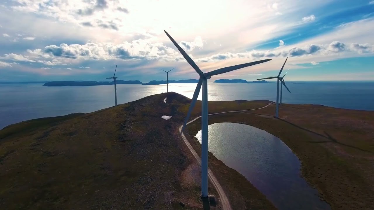 Hong Kong Sizzles Under Typhoon Gaemi's Heatwave；Hong Kong Stocks Plummet Amid Earnings Anxiety；Hond