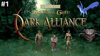 Baldur's Gate-Dark Alliance PS2 #1 Ankunft in Baldur's Tor