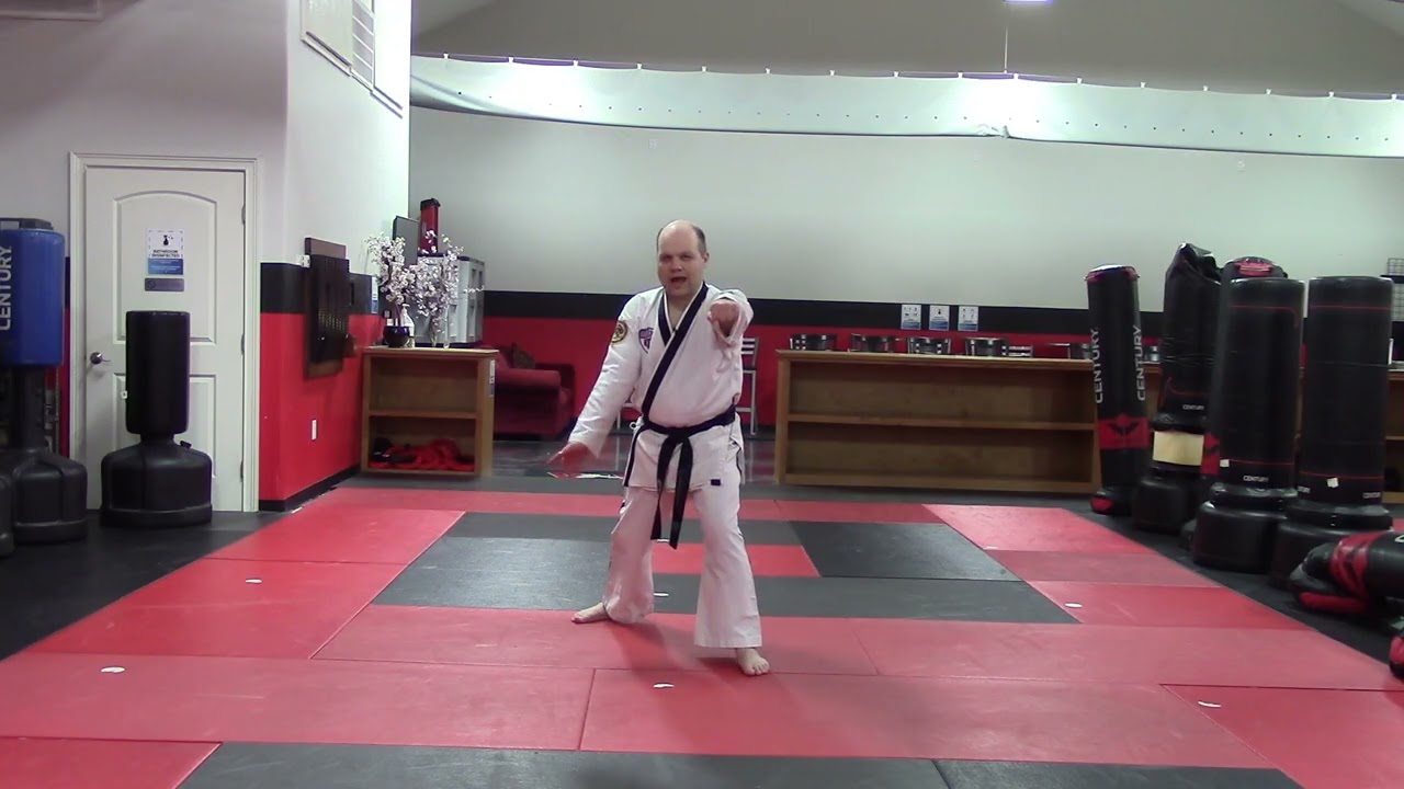 Jr. White/Orange/Yellow Belt Gshim 1 Self Defense