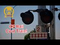 Railroad Crossing | Plessis Road, Winnipeg, Manitoba