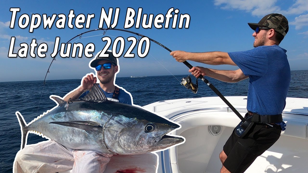 NJ Topwater Bluefin Tuna June, 2020 YouTube