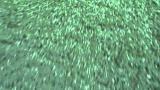 Crazy Obstacle Course