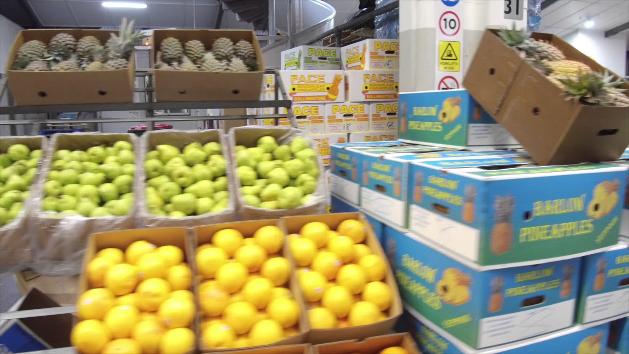 Rocklea What Happens Behind the Scenes at the Brisbane Produce Market