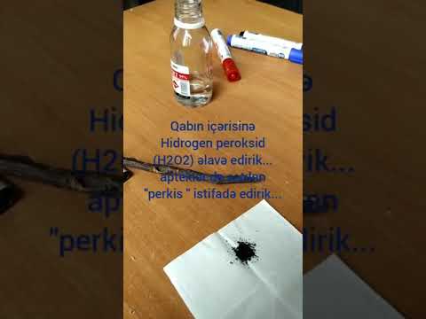 Video: Ağacların oksigen hasil etməsi prosesi necə adlanır?